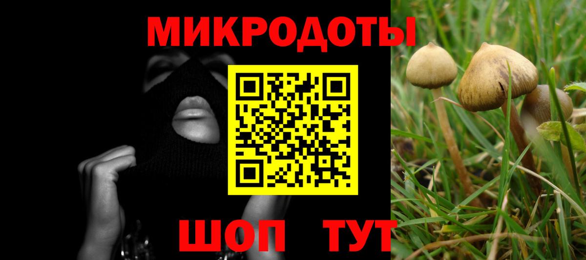Псилоцибиновые грибы Psilocybe  Вход с VPN  Бийск 